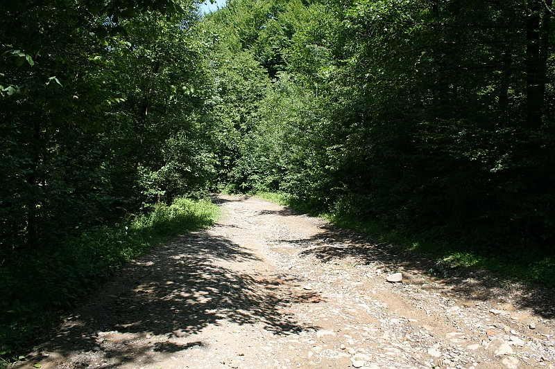 Original image
